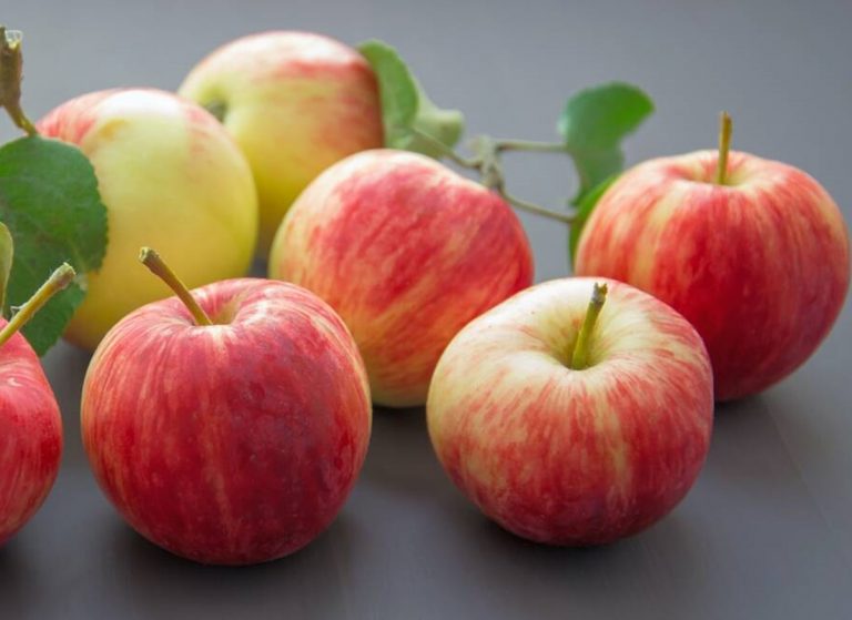 Apples: The Healthy Fruit That’s Worth The Bite